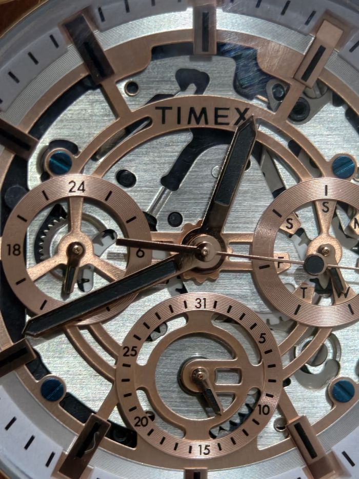 Detailed close-up of a Timex skeleton watch showcasing intricate gears and dials.